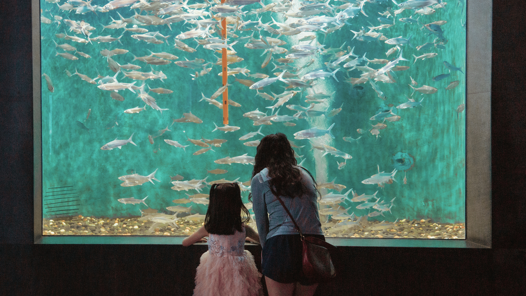 Mom and daughter looking at fish in an aquarium