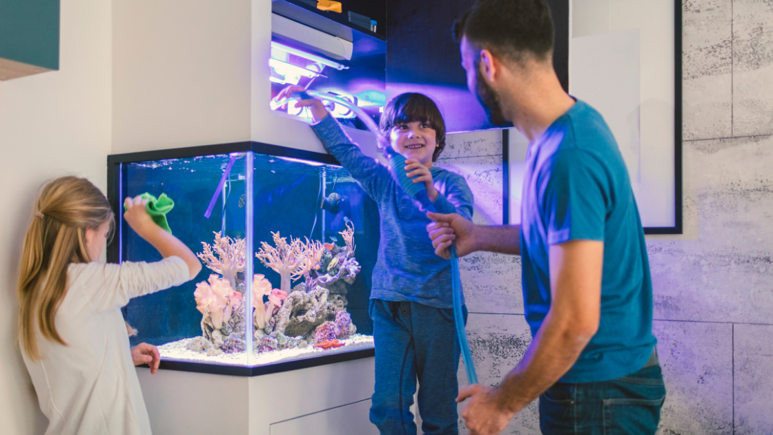 A family cleaning an aquatecture aquarium with a gravel vac and a cloth