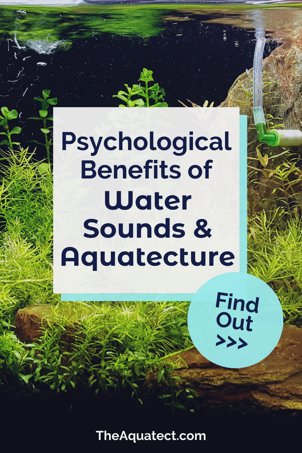 Psychological Benefits of Water Sounds and Aquatecture