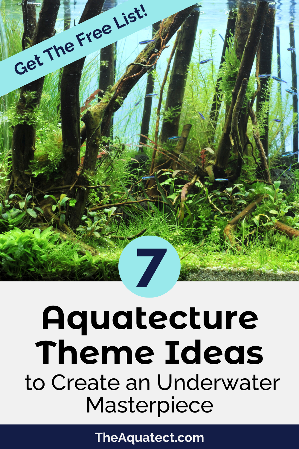 7 Aquatecture Theme Ideas to Create an Underwater Masterpiece - with a forest themed aquarium in the background.