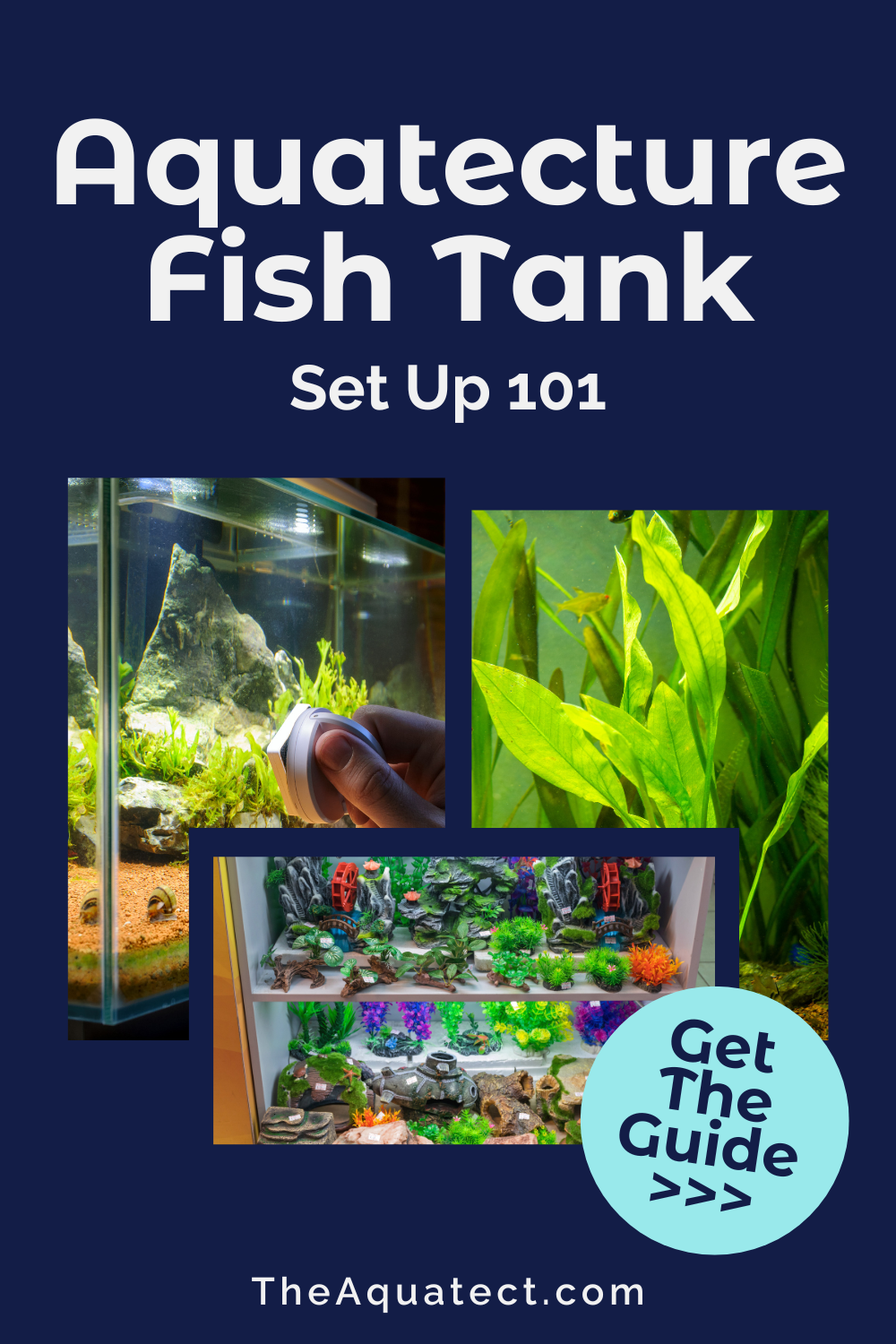 Aquatecture Fish Tank Set Up 101 - Fish tanks, aquarium an set up tips.