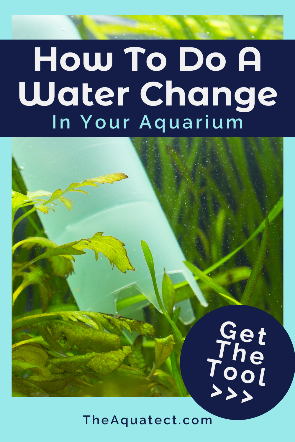 How To Do a Water Change in your Aquarium - Gravel Vac cleaning up the bottom of a fish tank