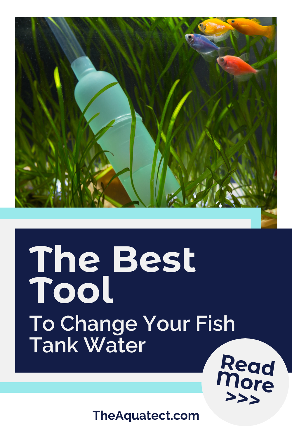 The Best Tool to Change Your Fish Tank Water - a Gravel Vac cleaning the bottom of an aquarium