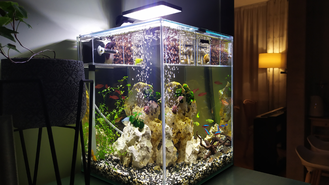 Aquatecture fish tank with bubble water sounds for mental health