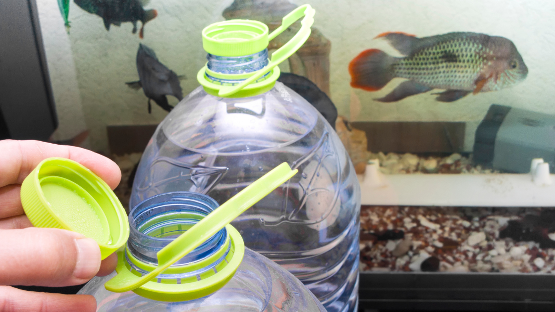 Adding water to fish tank after changing the water in the aquarium